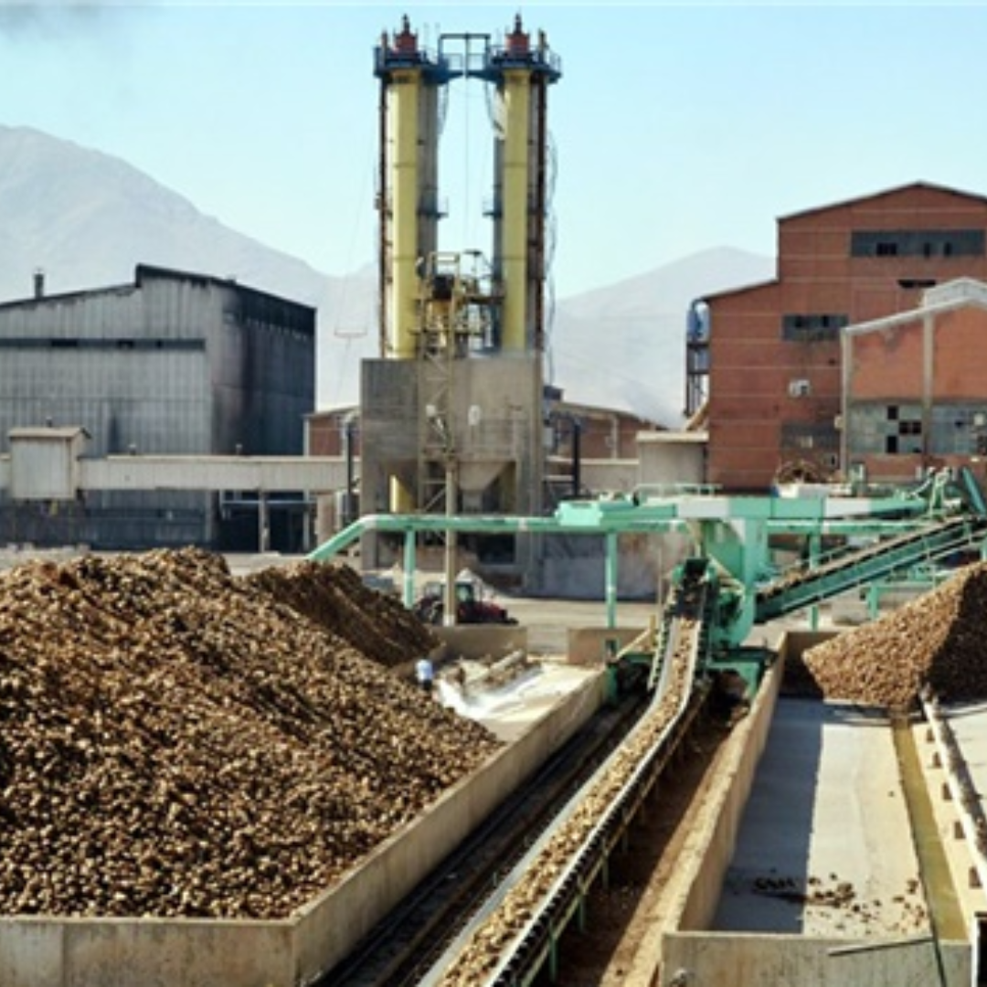 Şeker fabrikası üretim hattı ekipmanları